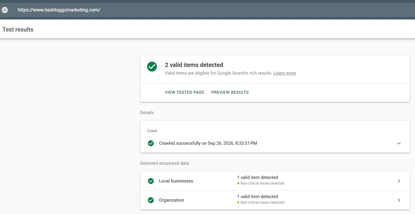 Google Rich Results Test for hashtaggzmarketing.com showing valid Local business and Organization structured data